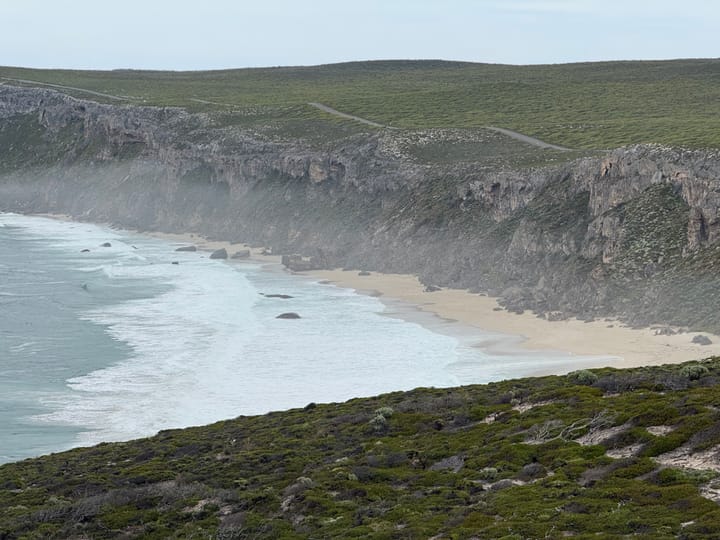 Feedback: The Message In A Bottle